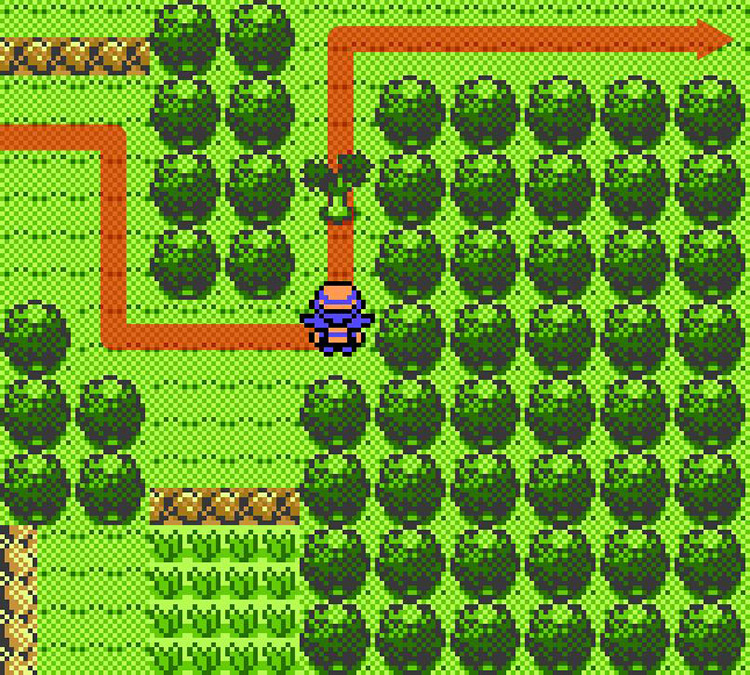 Walking through the forest on Route 28 / Pokémon Crystal