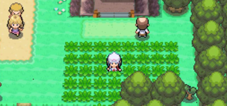 Searching on Route 209 for wild Chansey (Pokémon Platinum)
