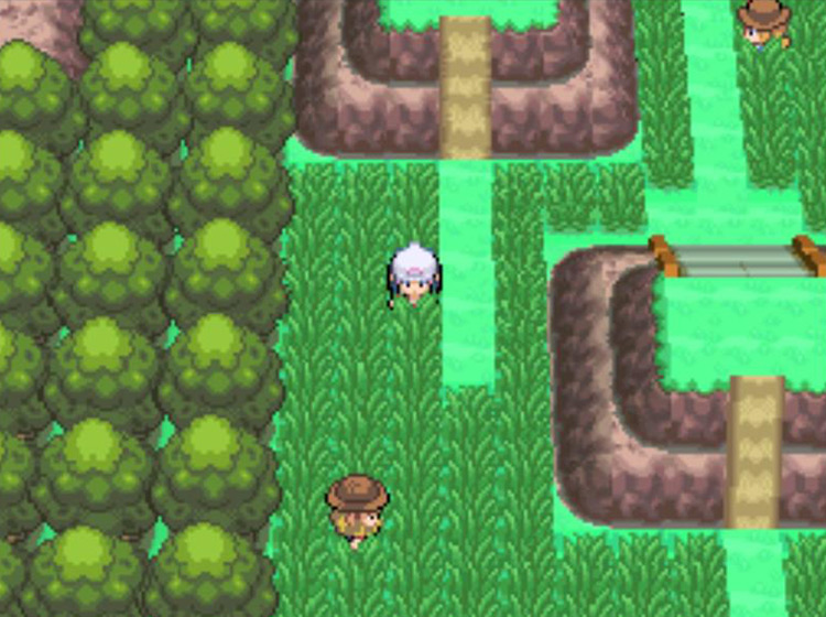 Searching the grassy fields on Route 210 for a wild Chansey / Pokémon Platinum