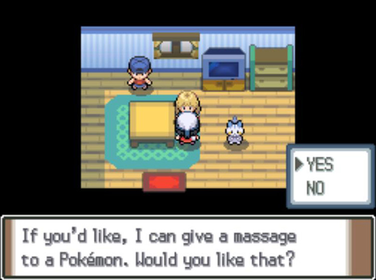 Agreeing to let a Pokémon get a massage / Pokémon Platinum