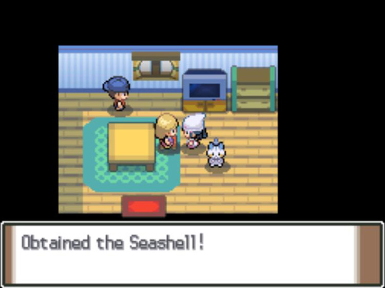 Receiving a fashion accessory from the Massage Girl / Pokémon Platinum