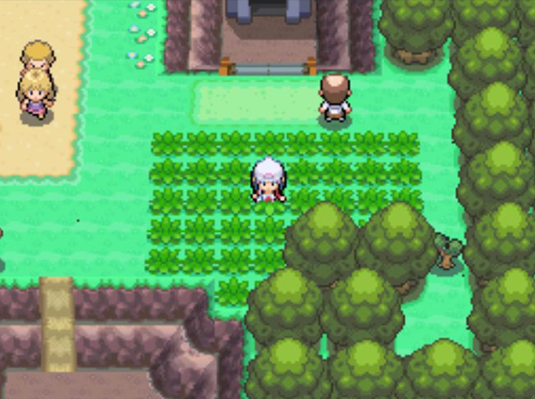 Searching the grassy fields on Route 209 for a wild Chansey / Pokémon Platinum