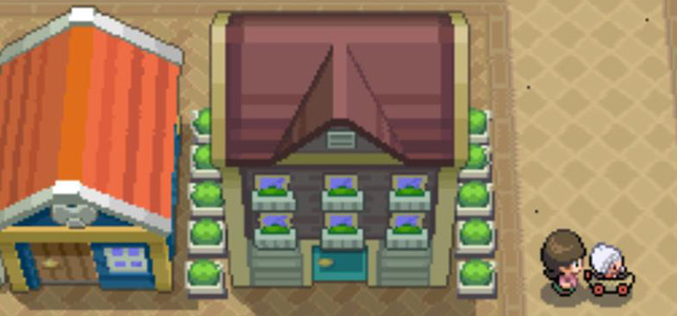 The apartment building with the Shell Bell (Pokémon Platinum)