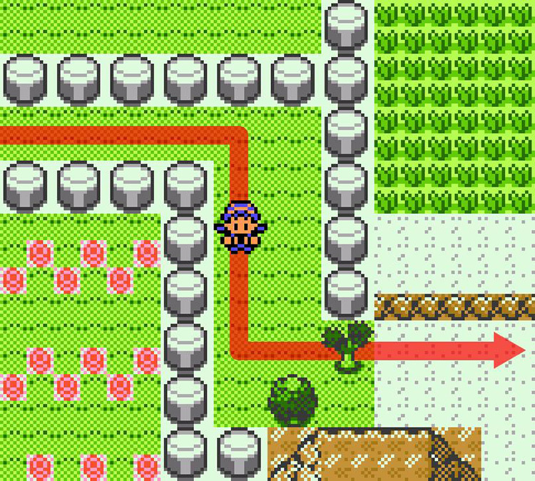 Entering Route 9 from Cerulean City. / Pokémon Crystal