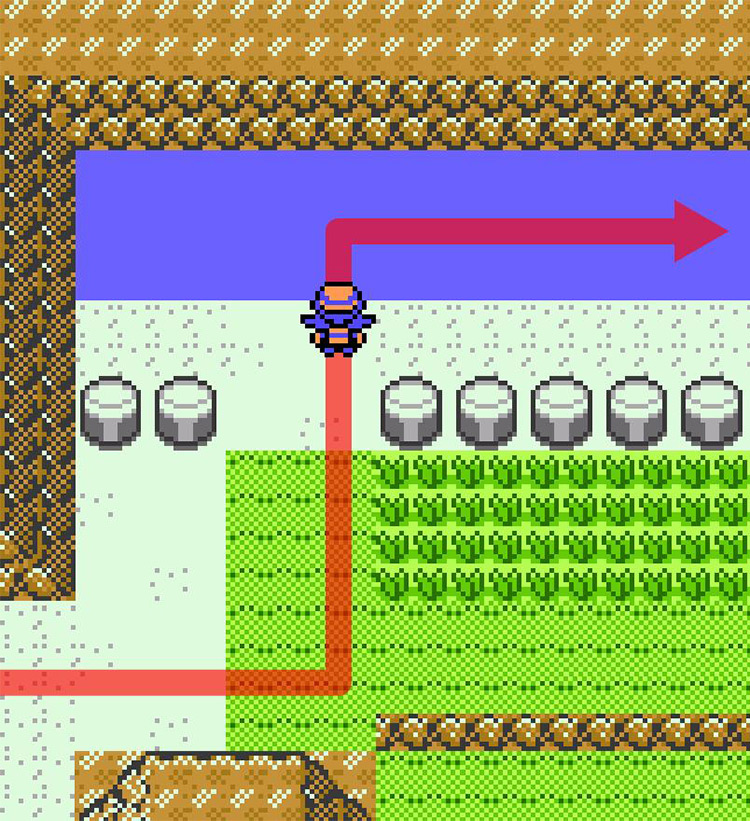 Entering the river on Route 10. / Pokémon Crystal