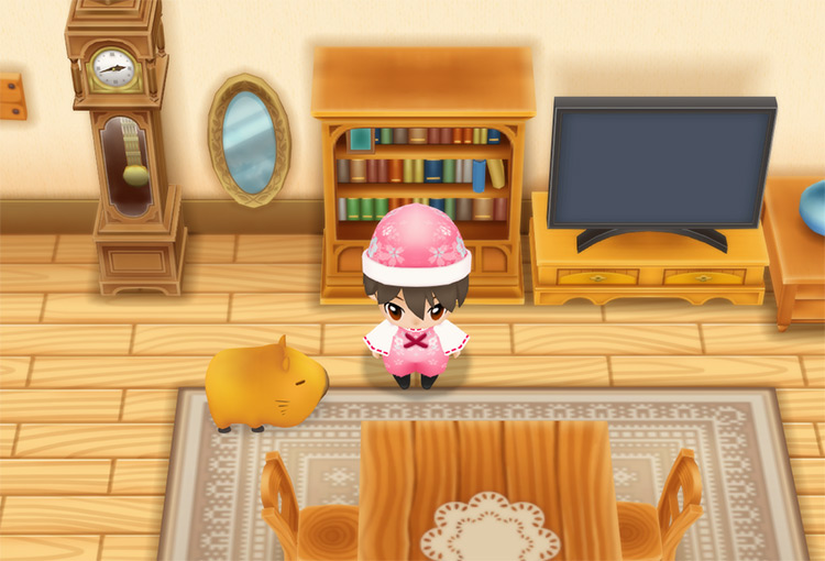 The farmer stands in front of the bookshelf. / Story of Seasons: Friends of Mineral Town