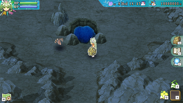 A wild Hornet in Yokmir Cave / Rune Factory 4