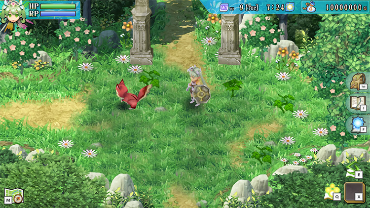 A wild Chipsqueek by the Water Ruins entrance / Rune Factory 4