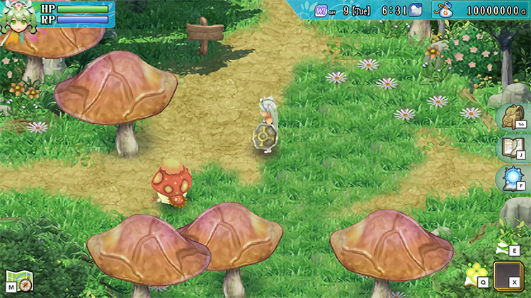 A Big Muck in Selphia Plain Mush Road / Rune Factory 4