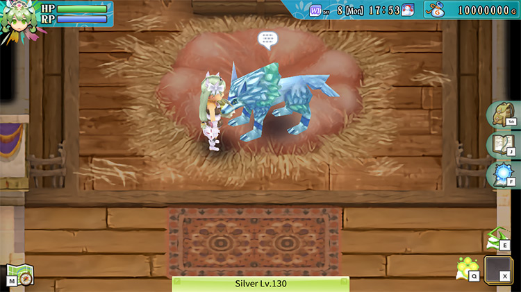 A tamed Silver Wolf in a Monster Barn / Rune Factory 4