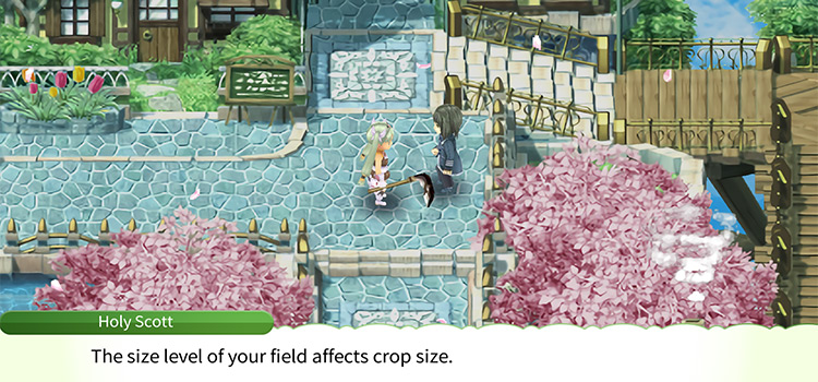 A traveler NPC offering a tip in Rune Factory 4 Special