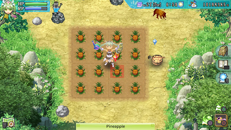 Pineapples ready for harvest in the Summer Field / Rune Factory 4