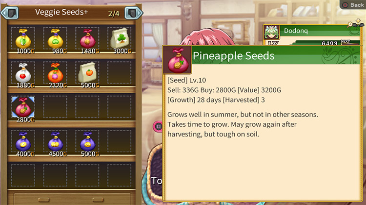 Level 10 Pineapple Seeds being sold at the Sincerity General Store / Rune Factory 4
