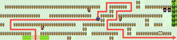Path through Route 13 maze. / Pokémon Crystal