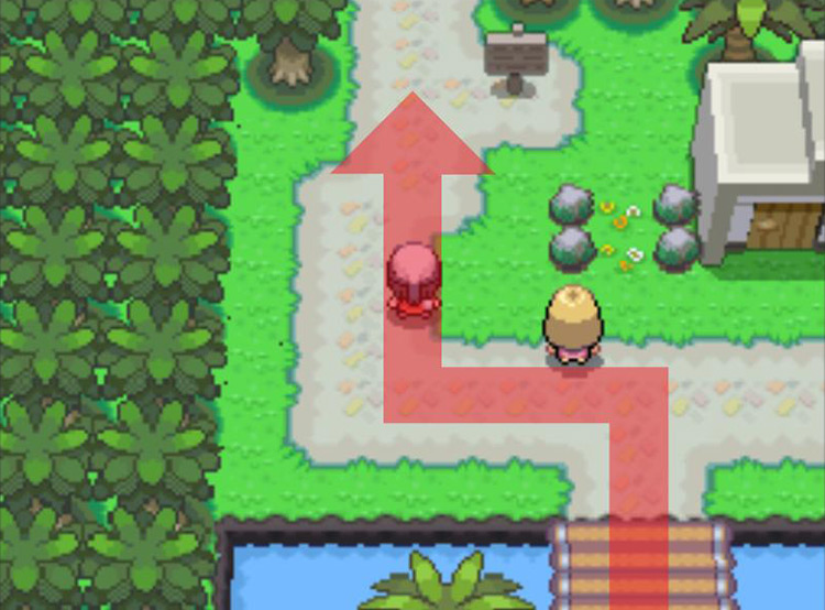 Leaving the Resort Area and heading onto Route 229. / Pokémon Platinum
