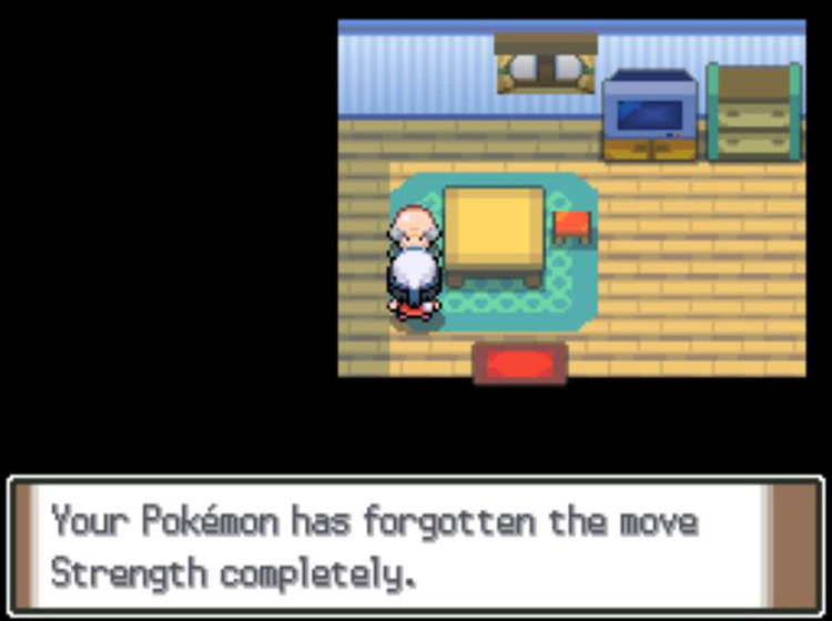 Announcing the success of the deletion. / Pokémon Platinum