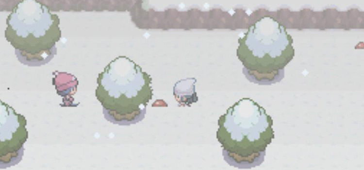 The Mental Herb on Route 216 in Pokémon Platinum