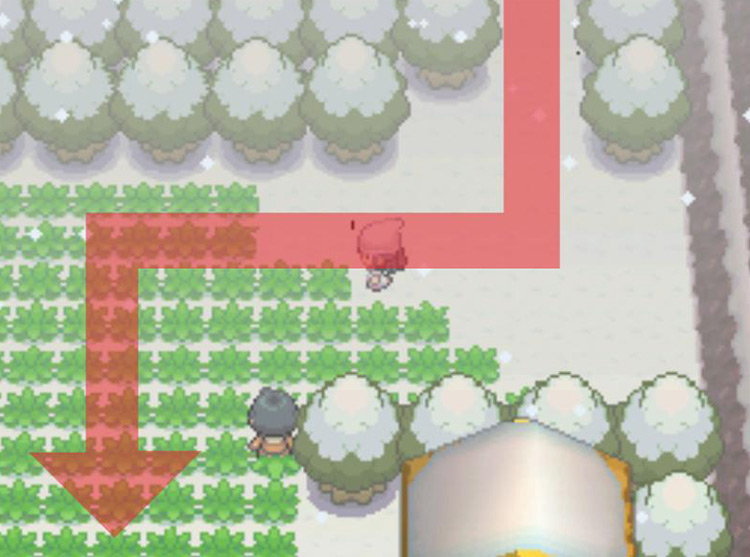 Entering Route 216 from the north. / Pokémon Platinum