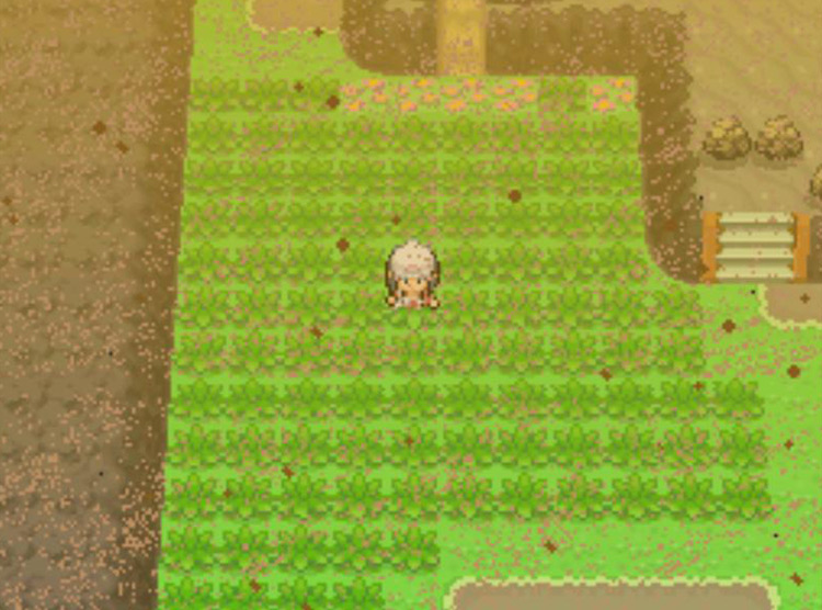 Searching the grassy fields on Route 228 for a wild Cacturne. / Pokémon Platinum