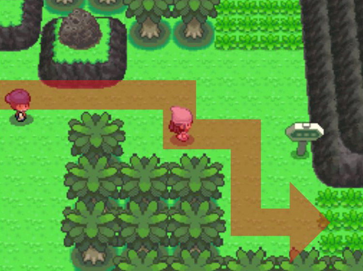 Moving to the south of the mountains. / Pokémon Platinum