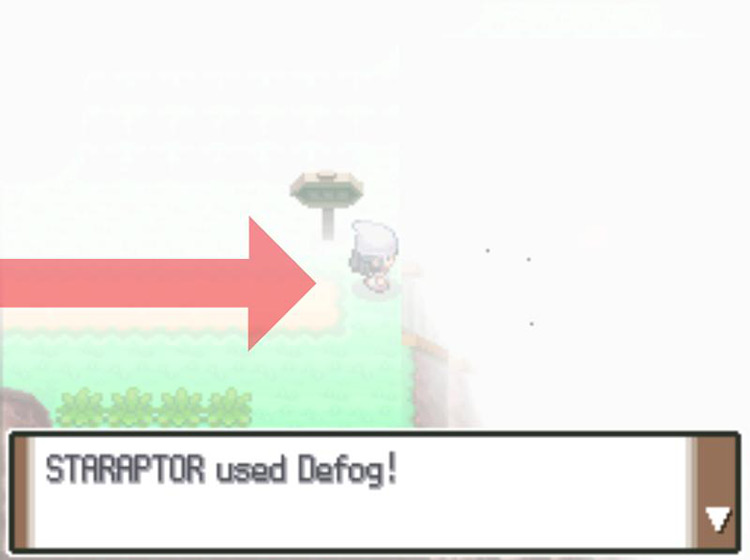Using Defog to clear the fog from the field. / Pokémon Platinum