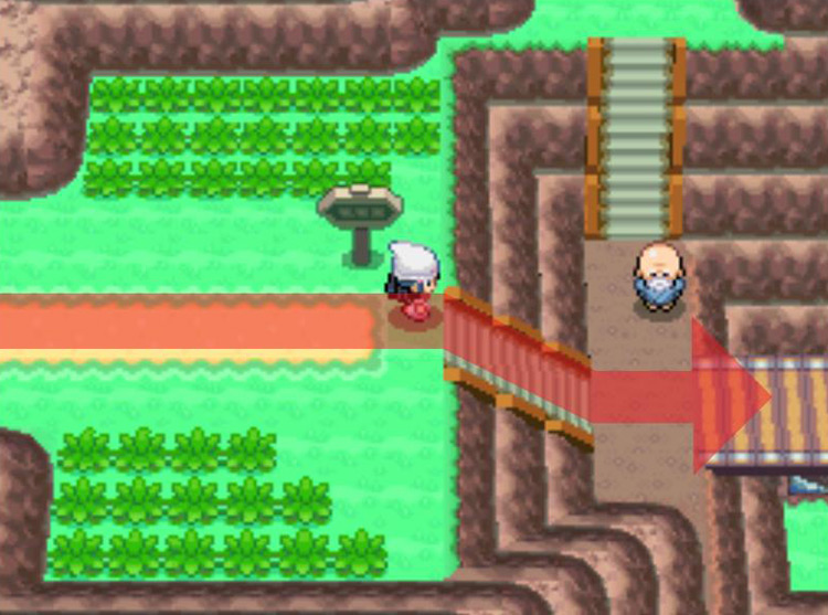 Crossing the bridge at the bottom of the staircase. / Pokémon Platinum