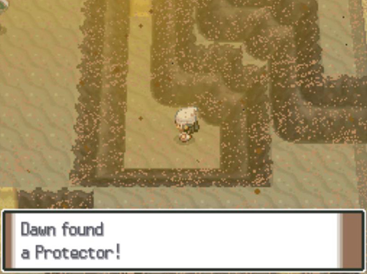 Obtaining the second Protector on Route 228. / Pokémon Platinum