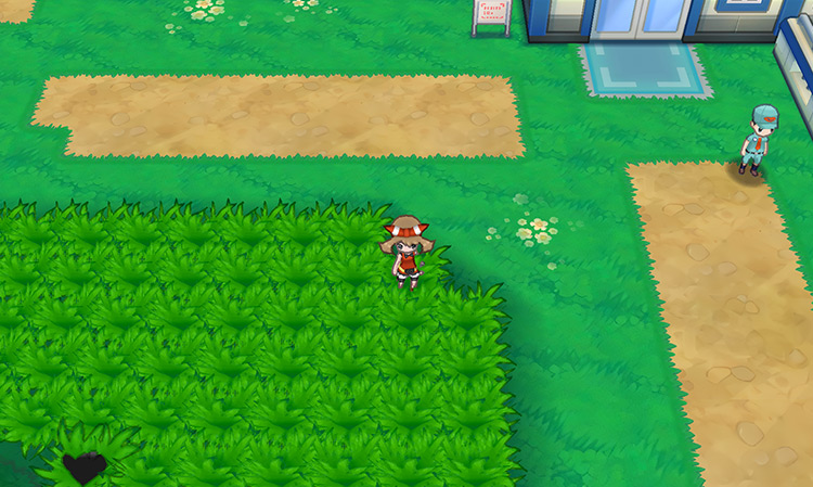 Standing in tall grass on Route 110 / Pokémon ORAS