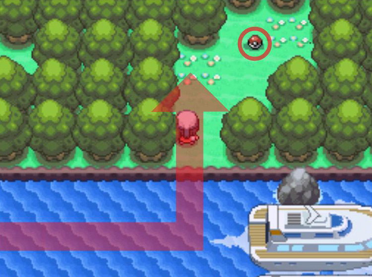 The Mystic Water on the ground. / Pokémon Platinum