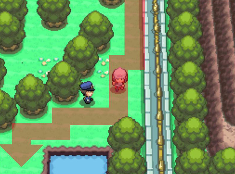Keeping to the right of Route 212 until the first pond. / Pokémon Platinum