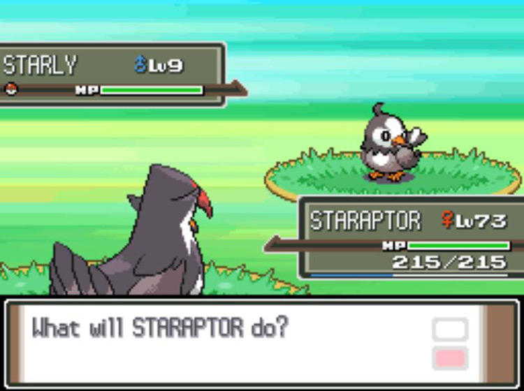 Fighting wild Pokémon battles to activate Pickup. / Pokémon Platinum