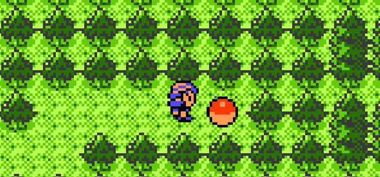 The Detect TM behind Lake of Rage (Pokémon Crystal)