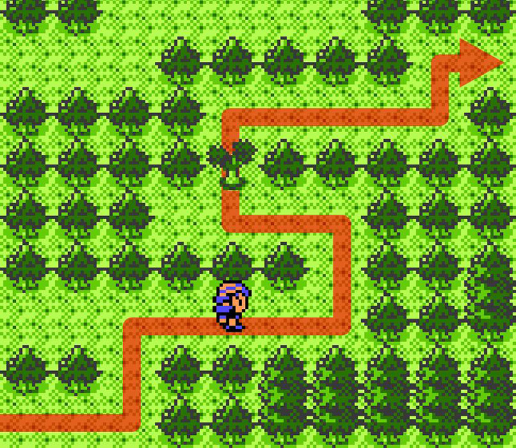 Second small tree on the way to the cabin in the woods / Pokémon Crystal