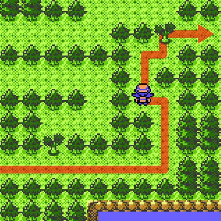 Cut through it and stick to the right as you continue / Pokémon Crystal