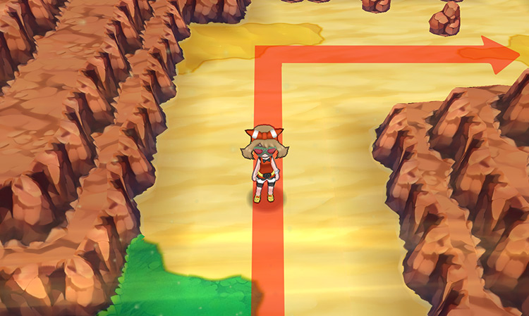 The Go-Goggles allow you to traverse the desert / Pokémon ORAS