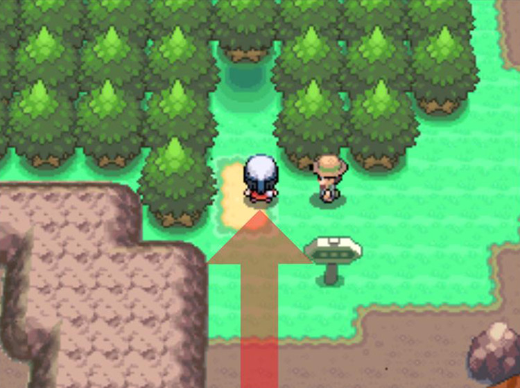 Entering the Eterna Forest from Route 205 / Pokémon Platinum