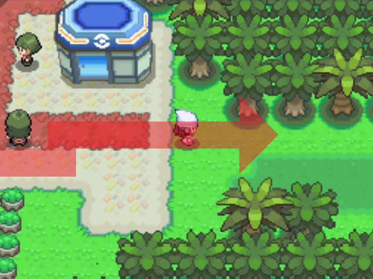 Entering the forest to the east of the Fight Area / Pokémon Platinum