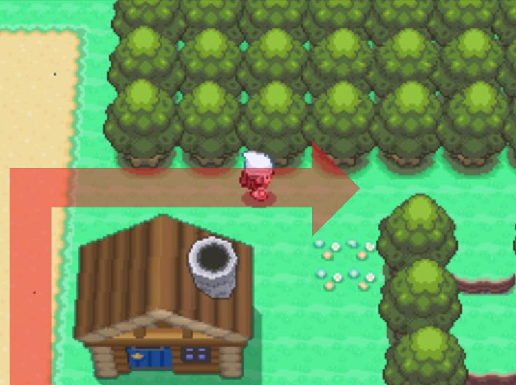 Turning eastward into the woods / Pokémon Platinum