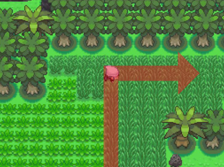 Heading east through the taller grass / Pokémon Platinum