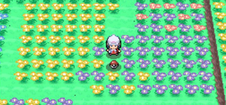 A Leaf Stone in Floaroma Meadow (Pokémon Platinum)