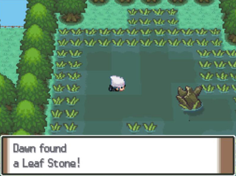 Picking up the hidden Leaf Stone in the Great Marsh / Pokémon Platinum