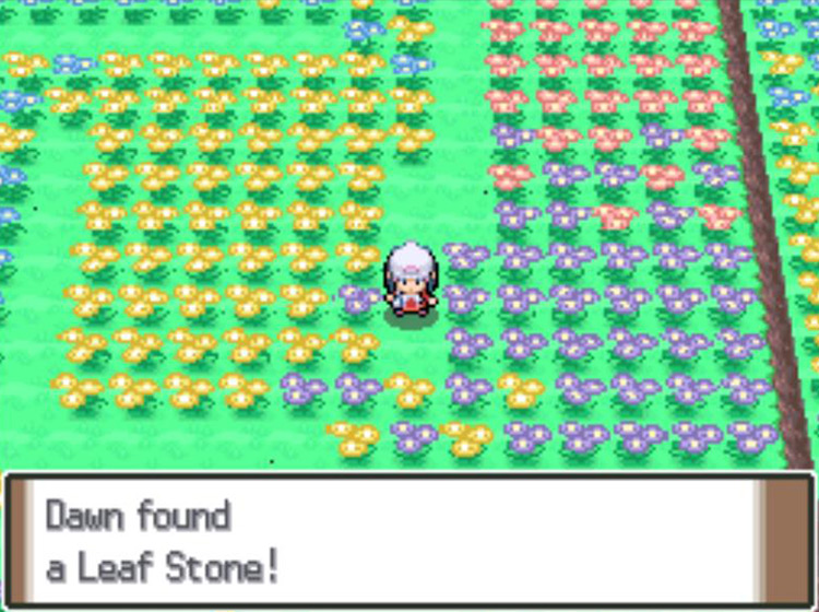 Picking up a Leaf Stone in the Floaroma Meadow / Pokémon Platinum