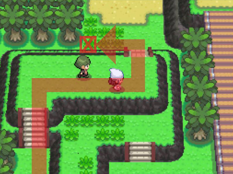 Passing over the hill to the north and approaching the southwestern corner tile / Pokémon Platinum