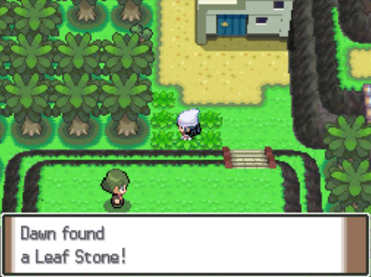 Picking up the hidden Leaf Stone on Route 225 / Pokémon Platinum