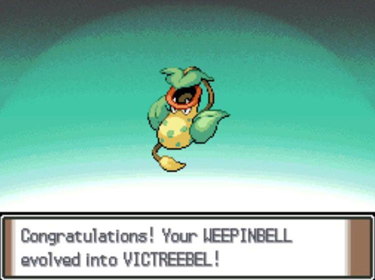 The newly-evolved Victreebel / Pokémon Platinum