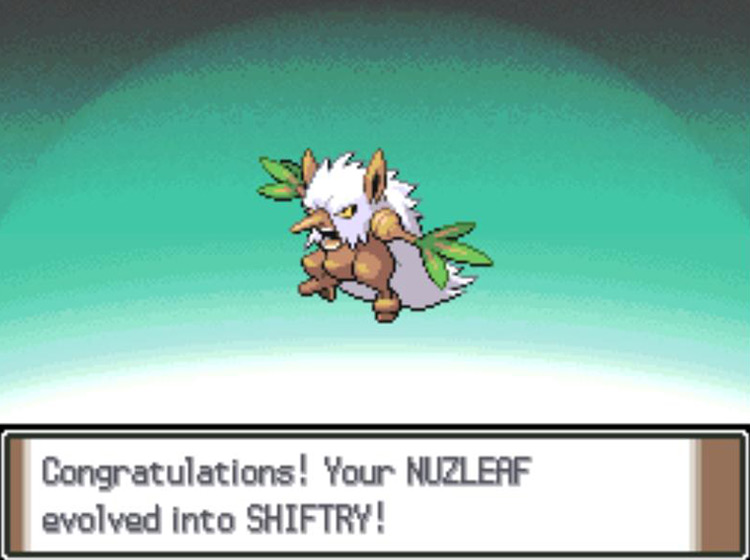 The newly-evolved Shiftry / Pokémon Platinum