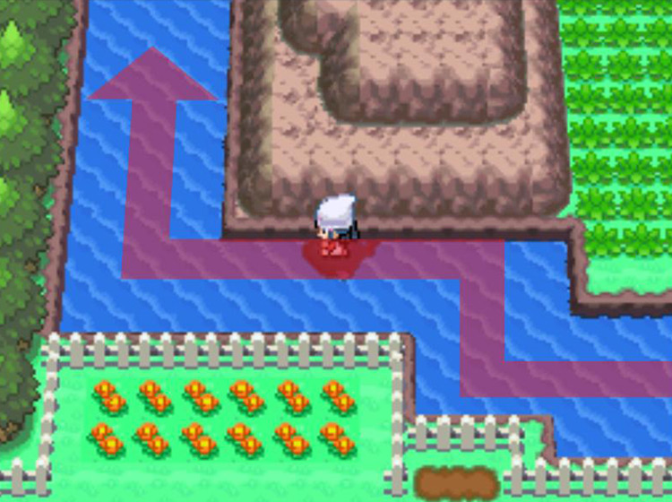 Turning northward with the river / Pokémon Platinum