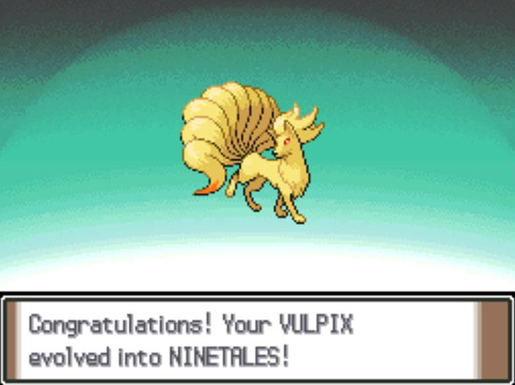 The newly-evolved Ninetails / Pokémon Platinum