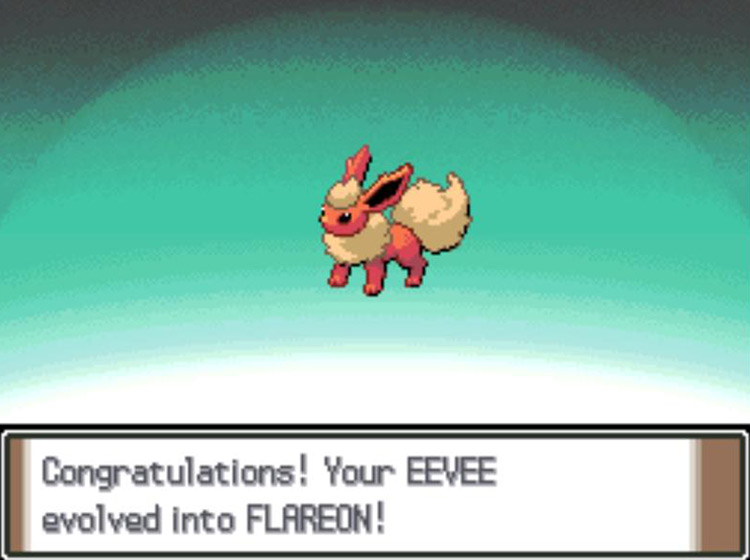 The newly-evolved Flareon / Pokémon Platinum