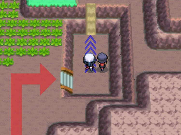 Riding the Bicycle in fourth gear to climb the muddy slope / Pokémon Platinum